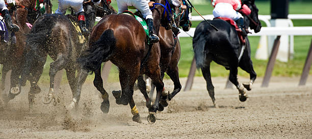 Easy Point System for Horse Competing Betting