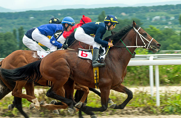 Horse Racing Advice: What You Should Know Before Playing the Game